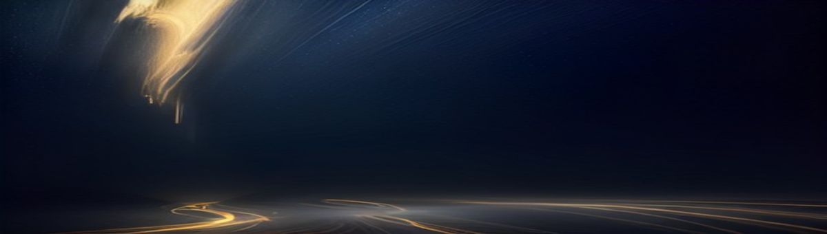 新潟の公的融資