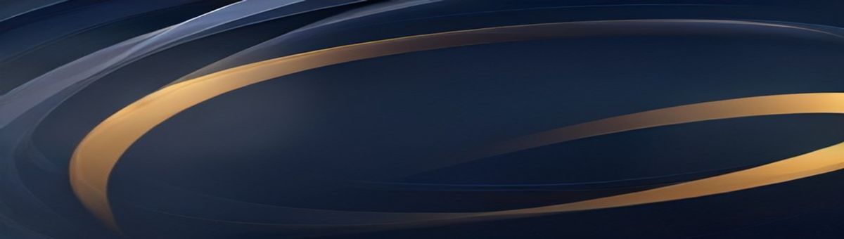 堺の公的融資